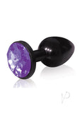 The 9 Silver Starter Annodi Plug Violet