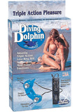 Diving Dolphin