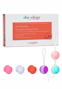 She Ology Interchange Weight Kegel Set