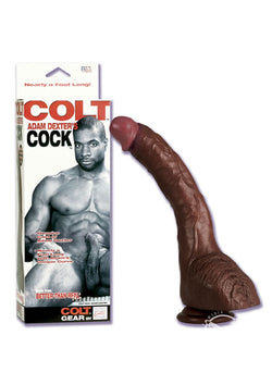 Colt Adam Dexter Cock