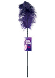 Ostrich Feather Purple Tickler